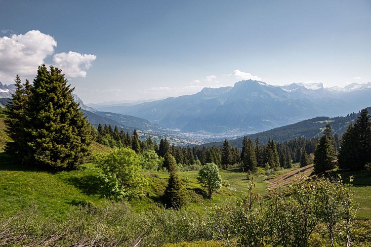 Hicking trail From top of Jaillet to the village