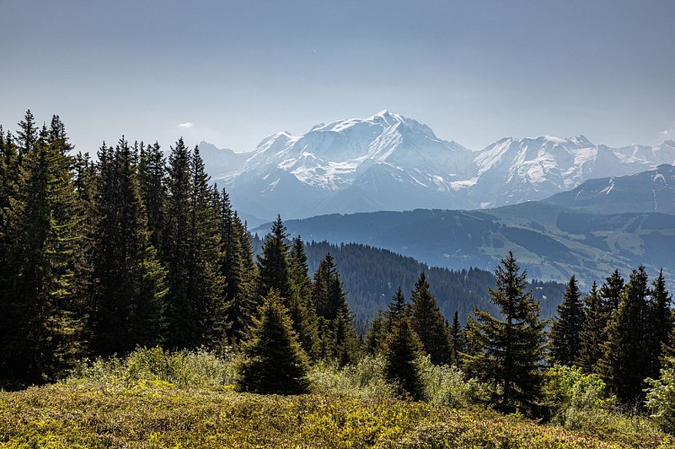 Hicking trail From top of Jaillet to the village