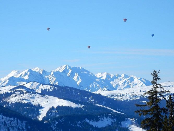 Mont-Blanc