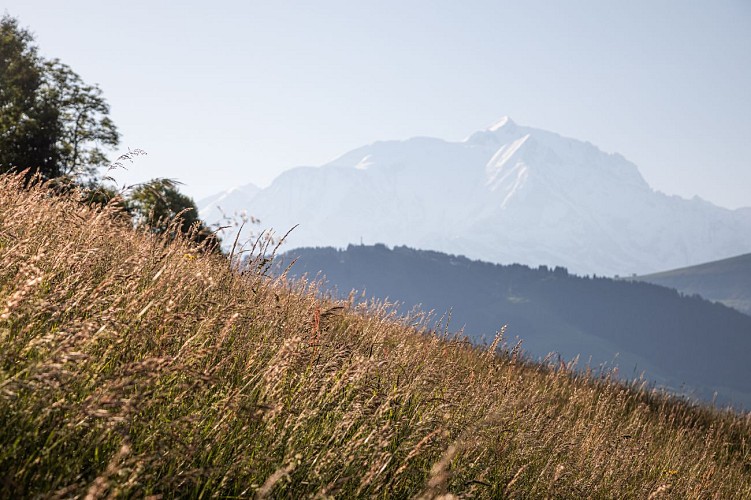 Caminata Da Jaillet alta al paese