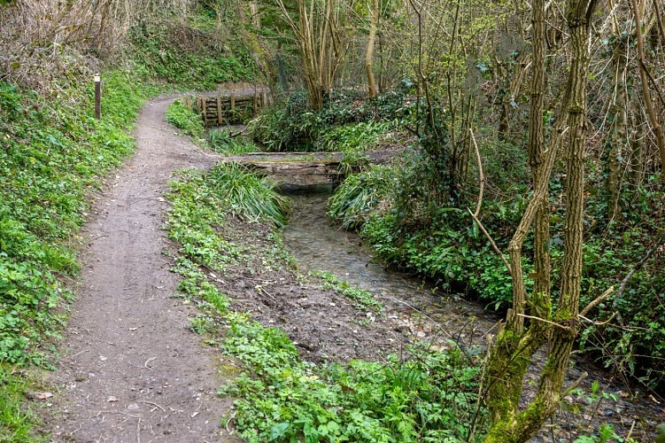 Sentier le Bois de Mont