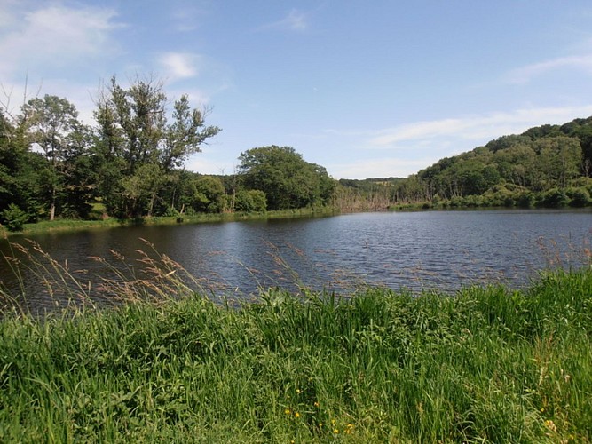 Étangs des Combrailles - Étape 3