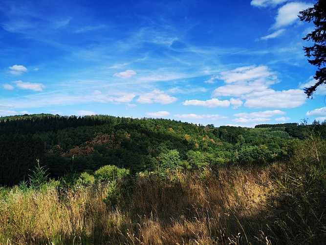 NG14 Promenade Saint-Michel - Masbourg - Markierung grüne Raute