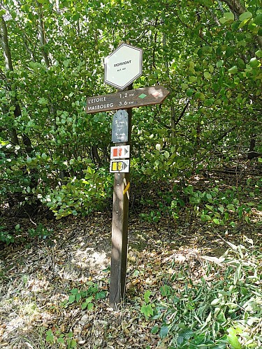 NG14 Promenade Saint-Michel - Masbourg - Markierung grüne Raute