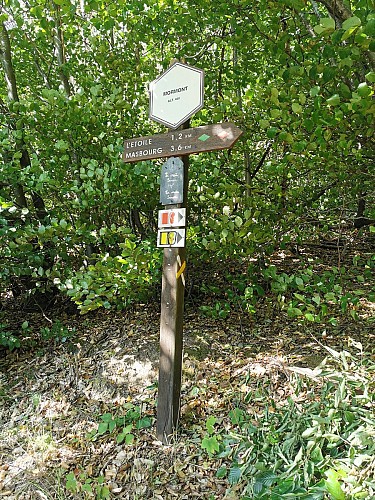 NG14 Promenade Saint-Michel - Masbourg - Balisage losange vert (ancienne)