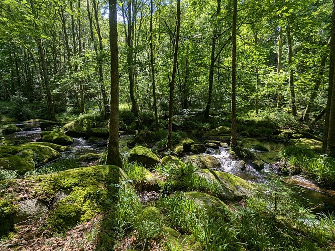 moulins&rochers-tarnac