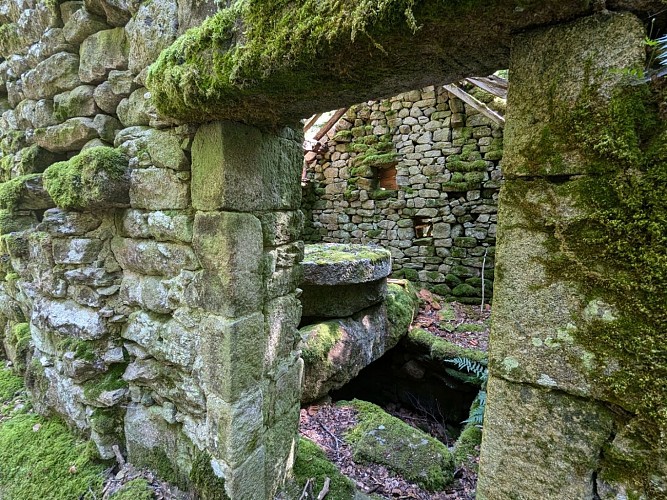 Vestige moulin Tarnac