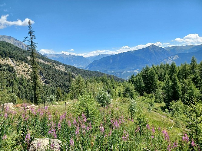 Tour de Serre-Ponçon J5 Reallon - Embrun