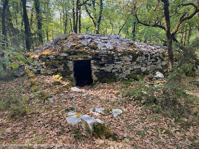 Borie Pech Curet - Salviac