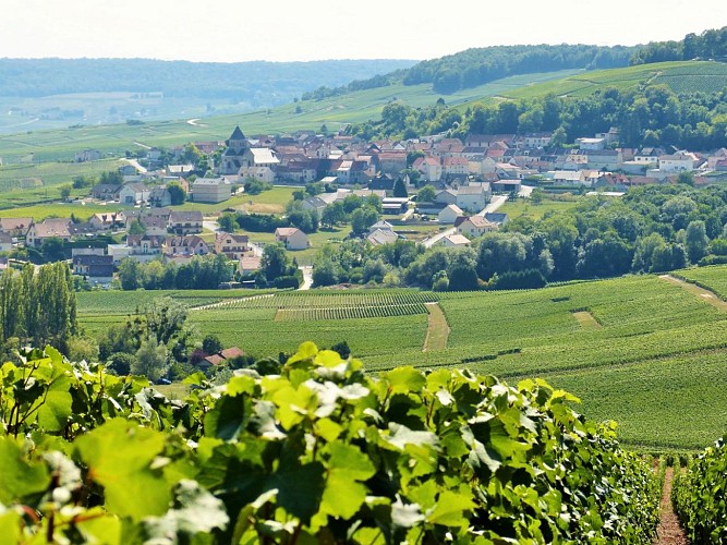 Autour de FleurylaRivière Parcours vtt Fleurylariviere Cirkwi