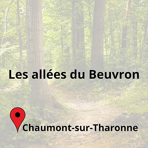 Les allées du Beuvron