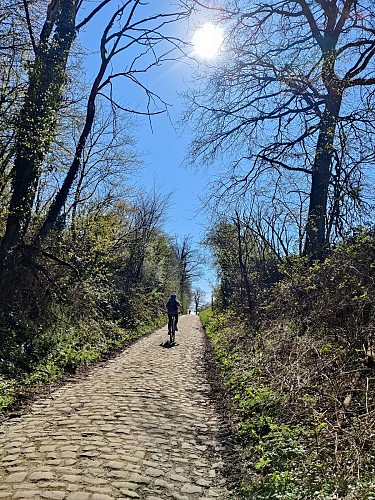 Drève des Quatre Chênes