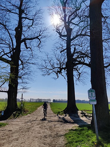 Carrefour des Quatre Chênes