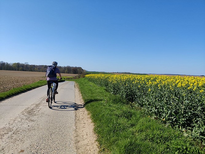 Vers la Ferme du Bois Saint-Jean