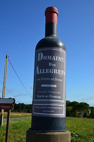 0251_VilleneuvedeDurasStLégerDomaineAllégrets