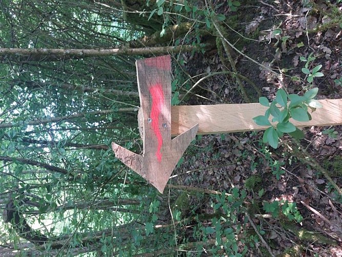 Sentier dragon et petite fille