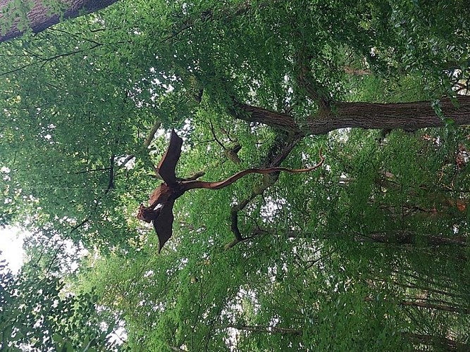 Sentier dragon et petite fille