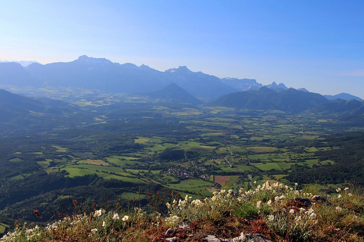 Le Goutaroux