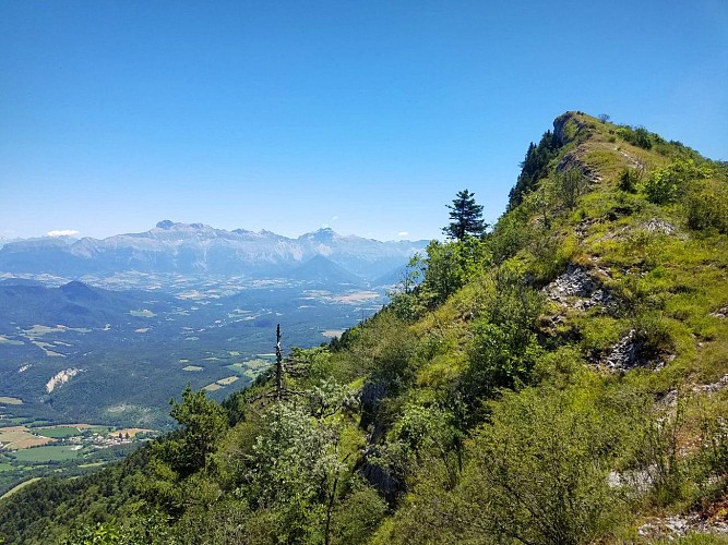 Le Goutaroux