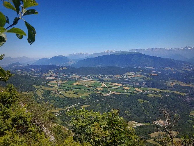 Le Goutaroux