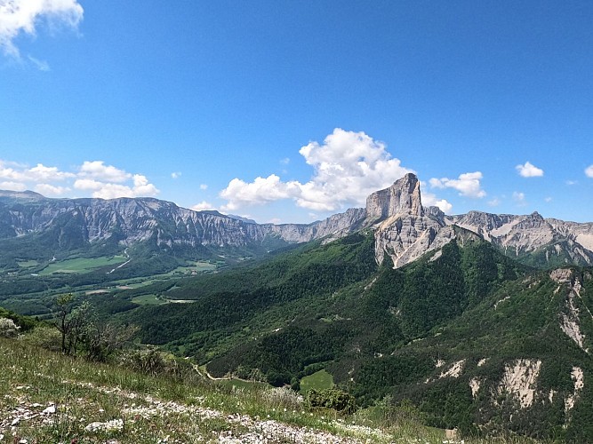 Le Goutaroux