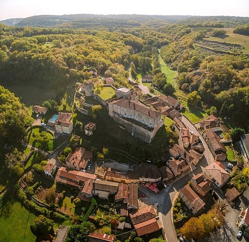 Château de Blanquefort (1)