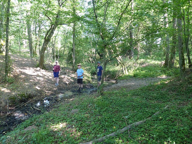 Circuit Poubaux nord franchesse