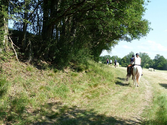 Circuit Poubaux nord franchesse