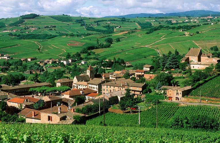 leynes ©Michel Troncy DSL71 - bd