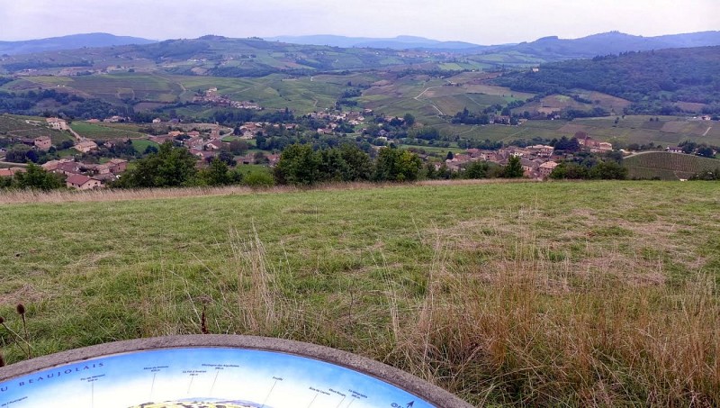 la promenade bu bois de fée (1)