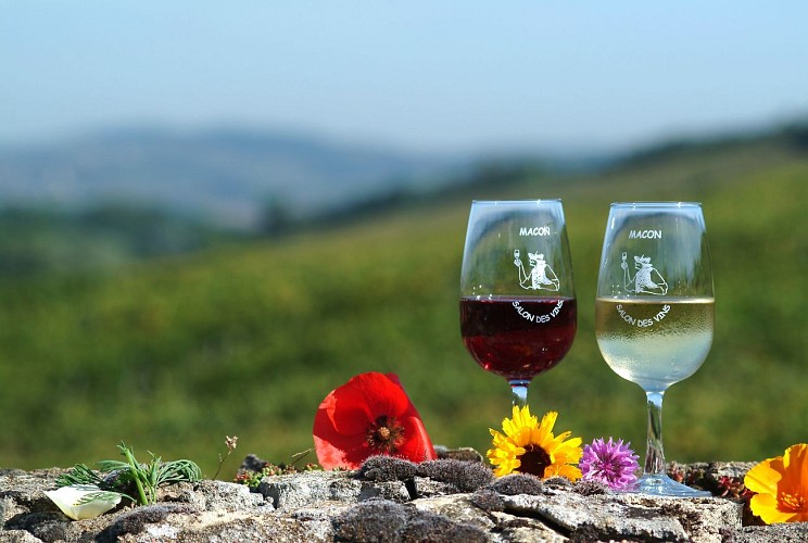 Vin blancrouge ©Jean-Pierre Eschmann (3)