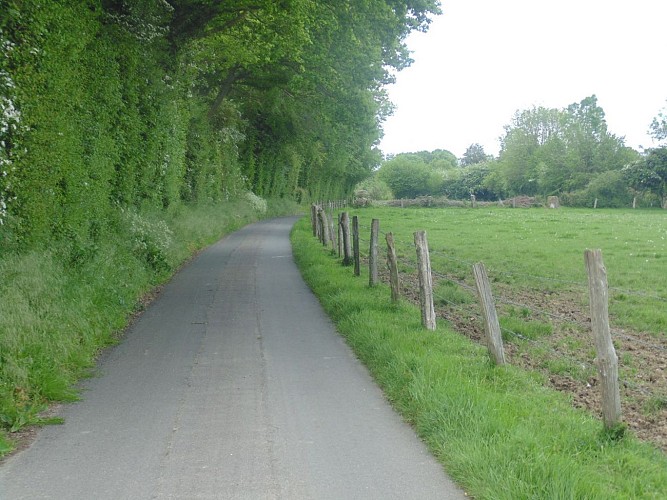 Balade autour de Beuzeville (départ de Beuzeville)