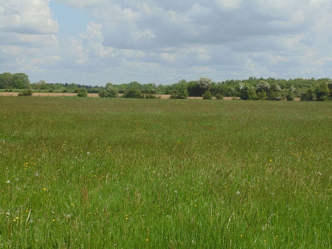 Balade autour de Beuzeville (départ de Beuzeville)