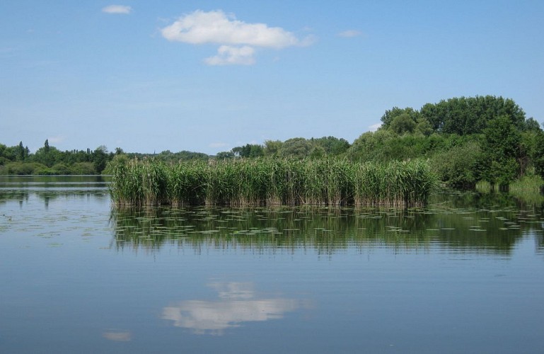 Tour du marais de Picquigny