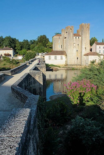 Nérac, du Château Henri IV au Moulin des Tours