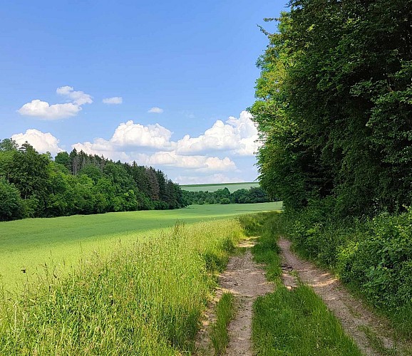 Boucle de Marbotte | Boncourt sur Meuse