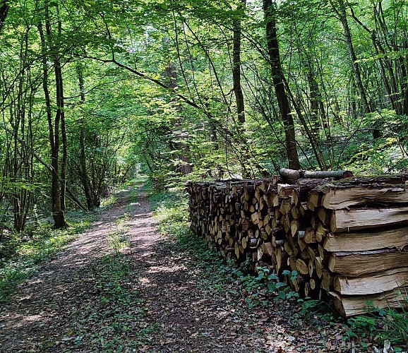 Boucle de Marbotte | Boncourt sur Meuse