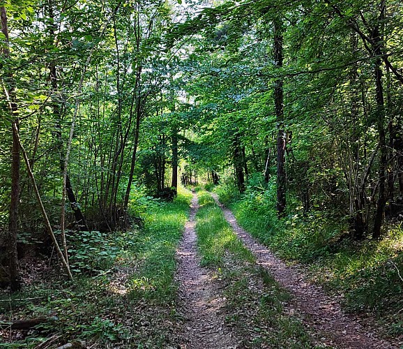 Boucle de Marbotte | Boncourt sur Meuse