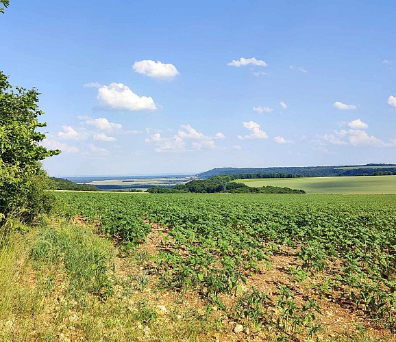Boucle de Marbotte | Boncourt sur Meuse