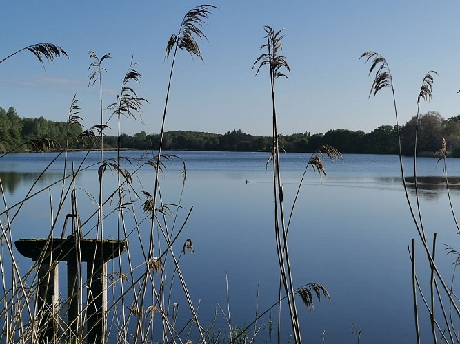 Etang Bartarde