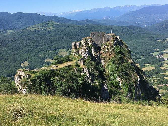 vue du chateau de Roquefixade
