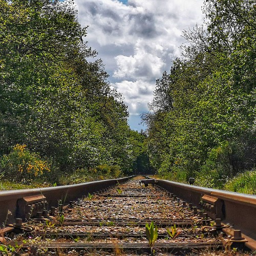 Voie métrique du BA