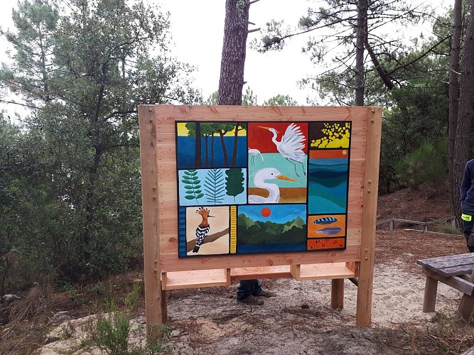 2.bibliothèque verso