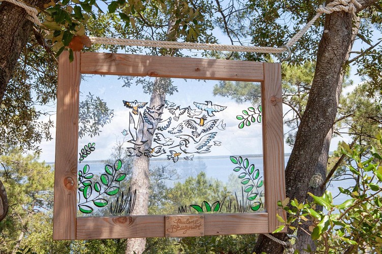 6.Vol au dessus du lac