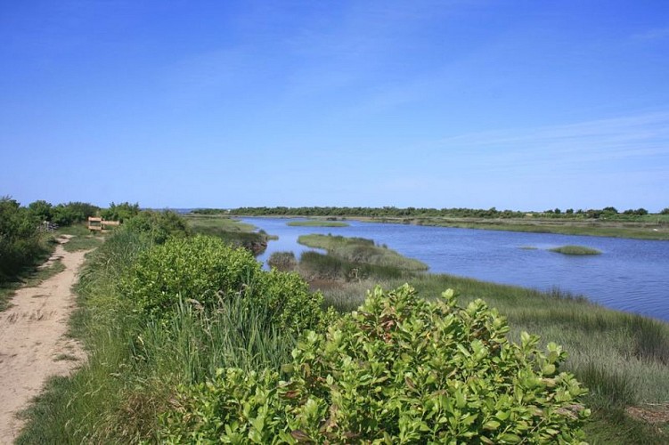 A Audenge, sur le Domaine de Graveyron entre terre et eaux