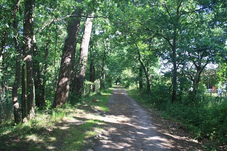 A Audenge, sur le Domaine de Graveyron entre terre et eaux