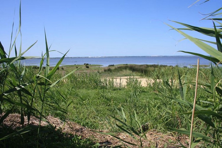 A Audenge, sur le Domaine de Graveyron entre terre et eaux