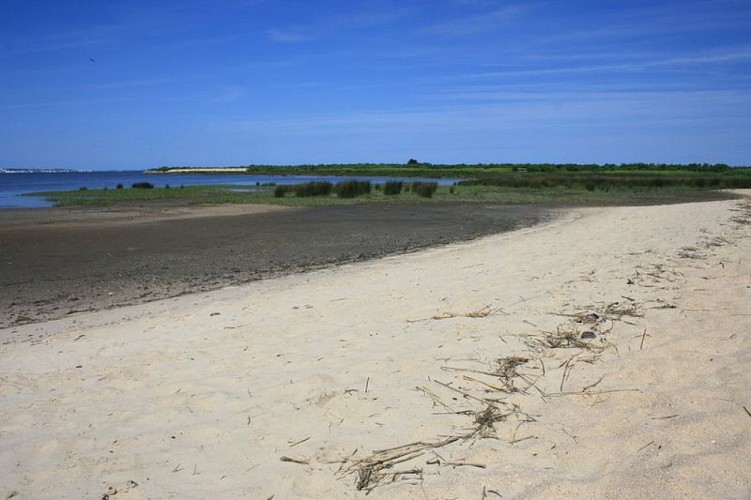 A Audenge, sur le Domaine de Graveyron entre terre et eaux