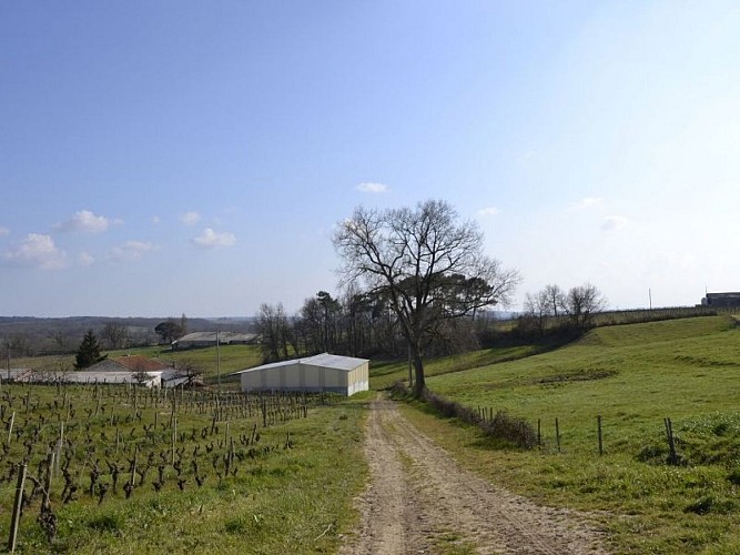 Boucle de Castelmoron d'Albret (1)