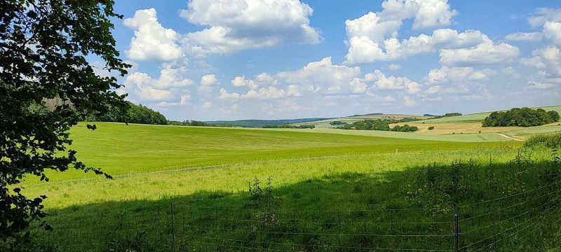 Lisiere de la forêt - Vers Senonville